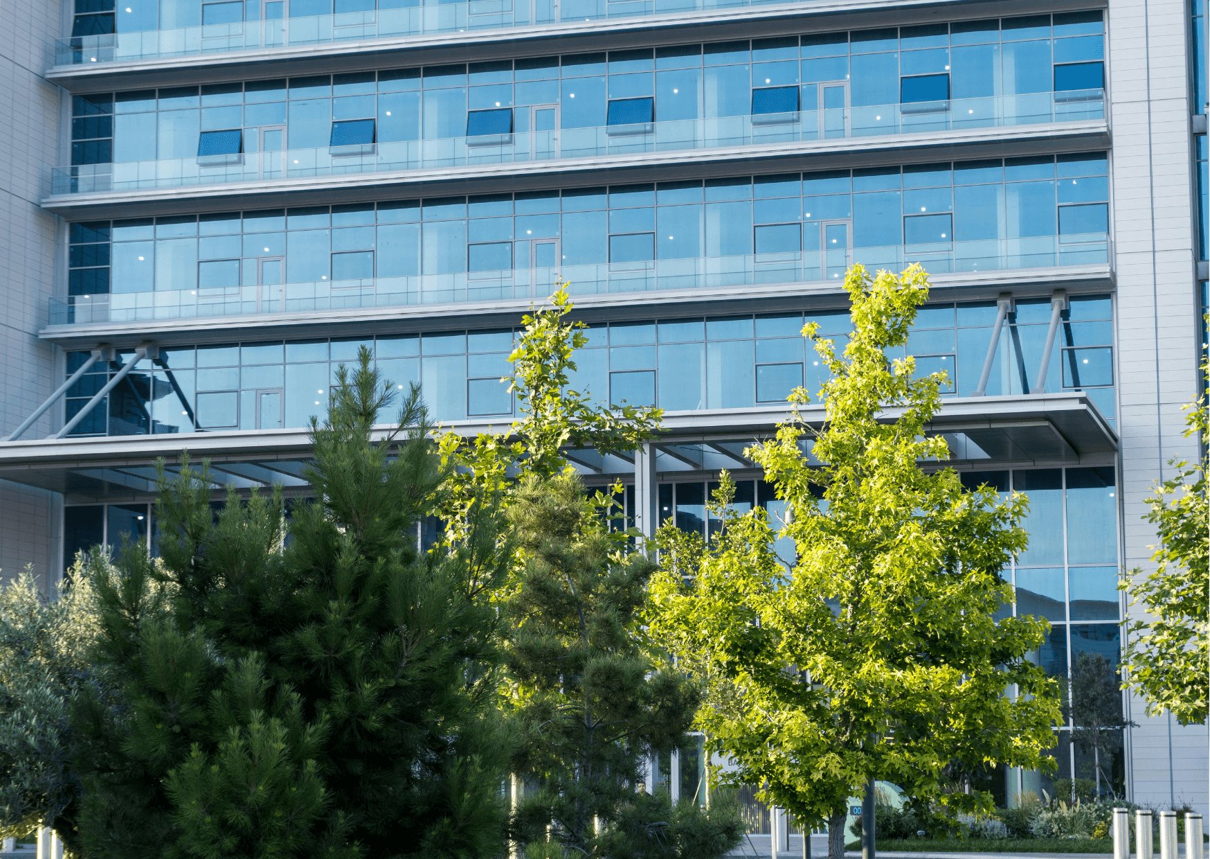 Home untitled design (40)